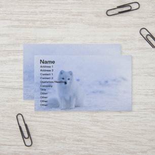 Island Arctic Fox Visitenkarte