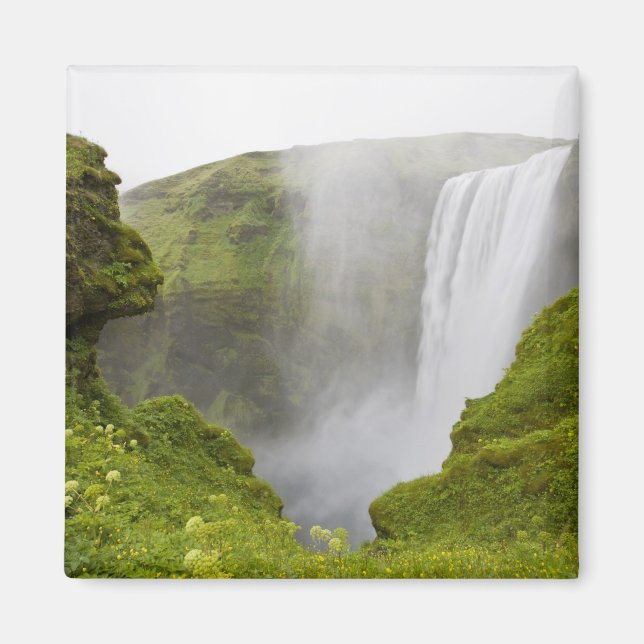 Island. Der Wasserfall des Skogarfoss fällt über e Magnet (Vorne)