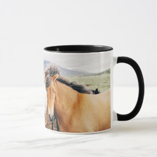 Island drei Farbpferde Tasse