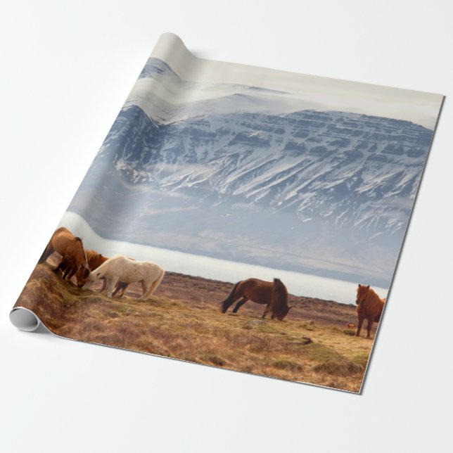 ISLAND GESCHENKPAPIER (Ungerollt)