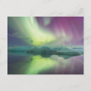 Island, Jokulsarlon. Aurora-Lichter reflektieren Postkarte