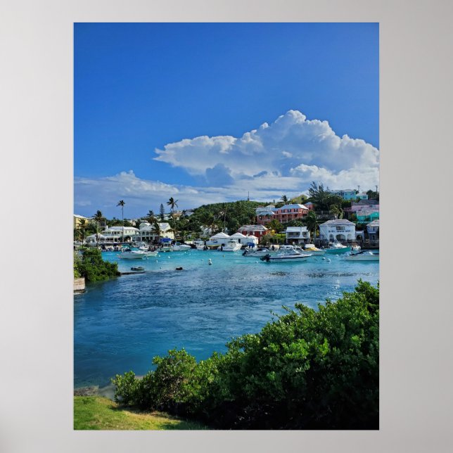 Island Life Poster (Vorne)