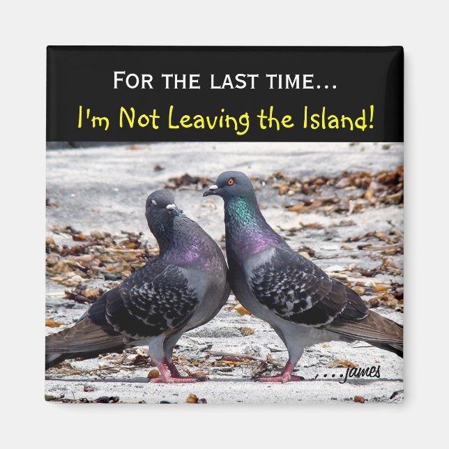 Island Magnet (Vorne)