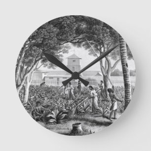 Island of Guam: Natives at Work in the Garden of t Runde Wanduhr