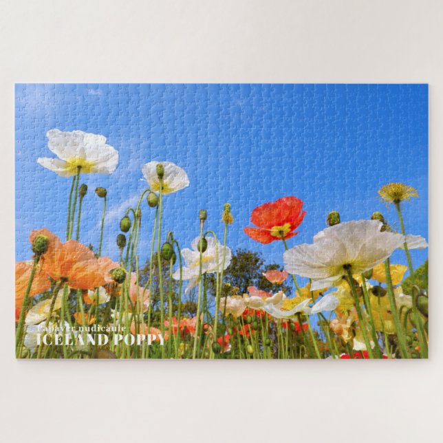 Island Poppy Puzzle (Horizontal)