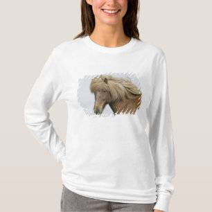 Island. Portrait eines isländischen Pferdes. T-Shirt