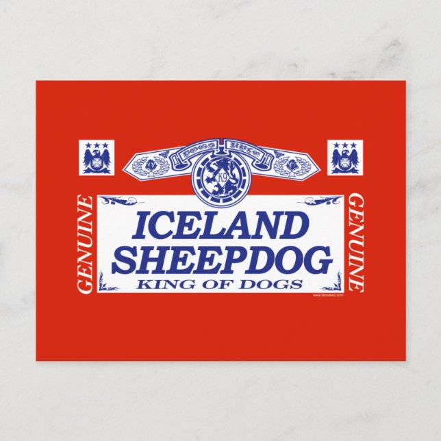 Island Sheepdog Postkarte (Vorderseite)