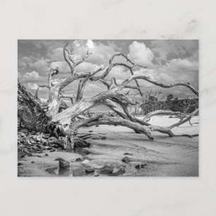 "Island Strand" Postkarte