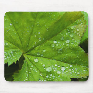 Island. Südregion. Gullfoss Mousepad