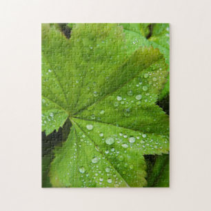 Island. Südregion. Gullfoss Puzzle