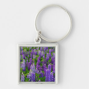 Island. Vik i Myrdal. Feld mit Lupinen Schlüsselanhänger