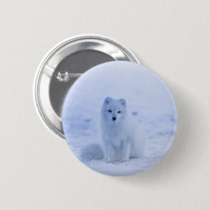 Islandarktischer Fox Button