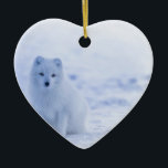 Islandarktischer Fox Keramik Ornament<br><div class="desc">Tiertier-niedlicher Winter Islandarktischen Fox</div>
