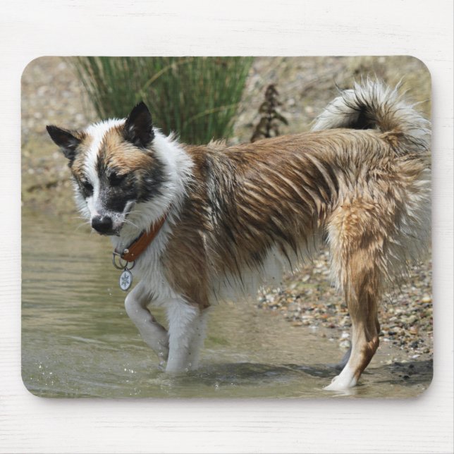 Islandhund Mousepad (Vorne)
