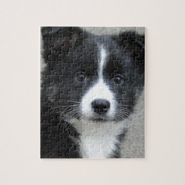 Islandhund Puzzle (Vertikal)