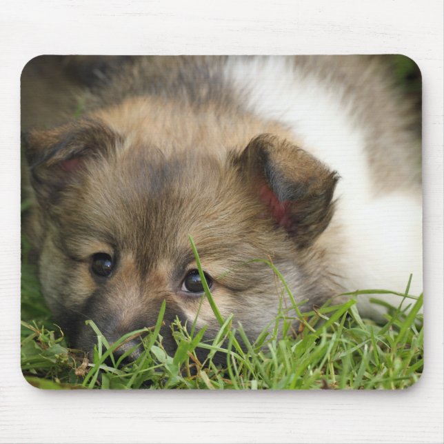 Islandhundewelpe Mousepad (Vorne)