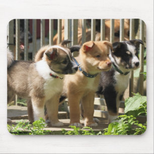 Islandhundewelpen Mousepad