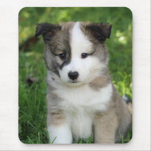Islandhundwelpe Splitface Mousepad