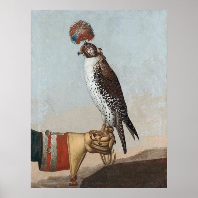 Islandic Gyrfalcon Poster (Vorne)