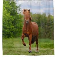 Isländisch Pony Tölt Funny Foto Horse Lovers - Tub