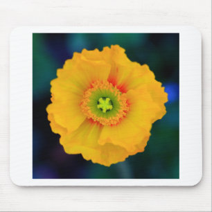 Isländisch Poppy Mousepad