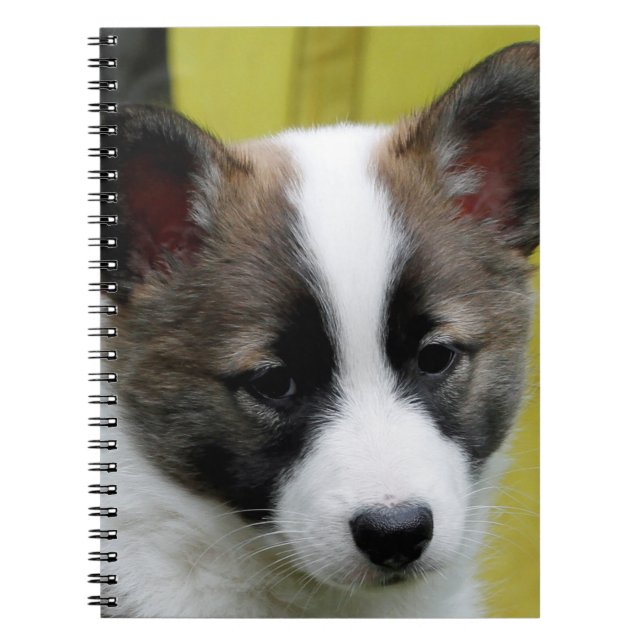 Isländisch Sheepdog 2014-0806 Notizblock (Vorderseite)