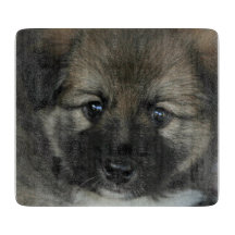 Isländisch Sheepdog 2014-0808