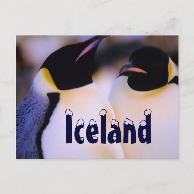 Isländische arktische Pinguine Postkarte (Vorderseite)
