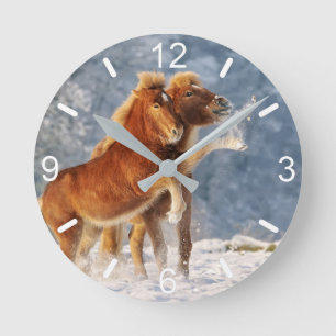 Isländische Pferde-Fohlen-Spiel im sonnigen Foto Runde Wanduhr