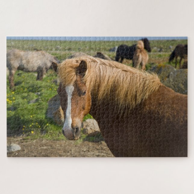 Isländische Pferde im Nordosten Islands Puzzle (Horizontal)