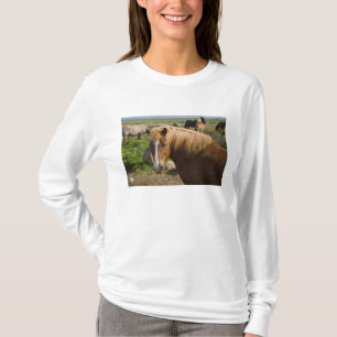 Isländische Pferde im Nordosten Islands. T-Shirt