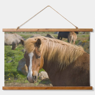 Isländische Pferde im Nordosten Islands Wandteppich Mit Holzrahmen