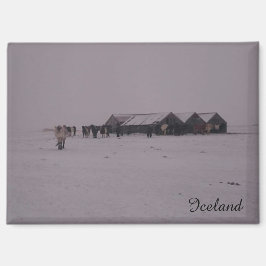 Isländische Pferde im Schneemagnet Magnet