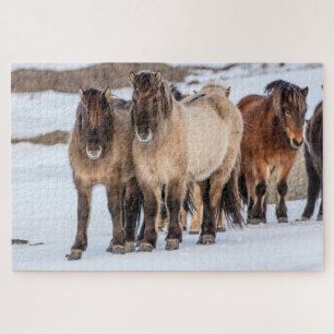 Isländische Pferde im Winter bei Höfn, Island Puzzle