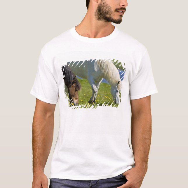 Isländische Pferde in Western Island. T-Shirt (Vorderseite)
