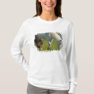 Isländische Pferde in Westisland. T-Shirt