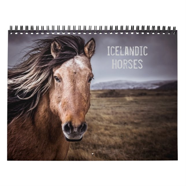 Isländische Pferde Kalender (Titelbild)