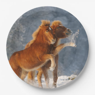 Isländische Pferdefoals im Schnee, glückliches Par Pappteller