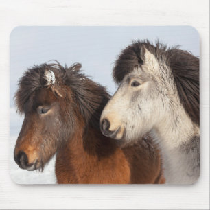 Isländische Pferdeprofil, Island Mousepad