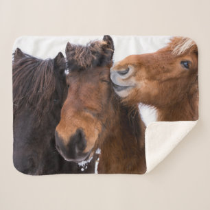 Isländische Pferdfreunde, Island Sherpadecke