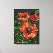 ‚isländische Poppies‘