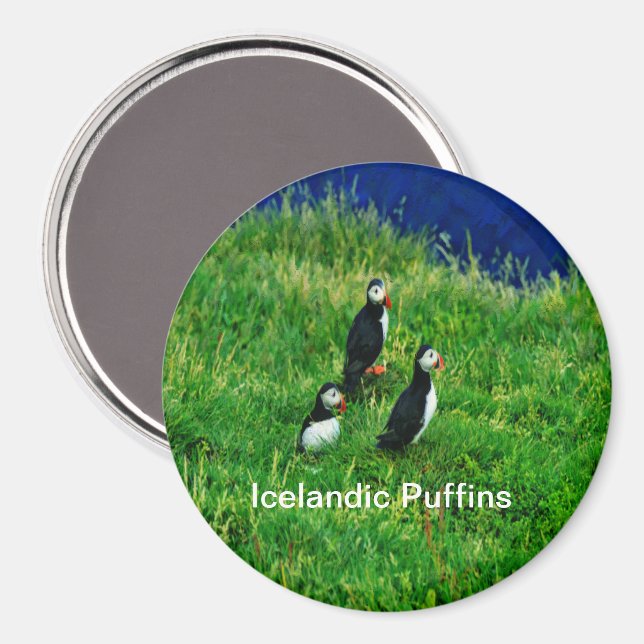 Isländische Puffen im Sommer Magnet (Vorderseite/Rückseite)