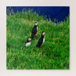 Isländische Puffins Puzzle