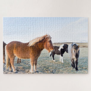 Isländisches Pferd im Winter auf Island Puzzle