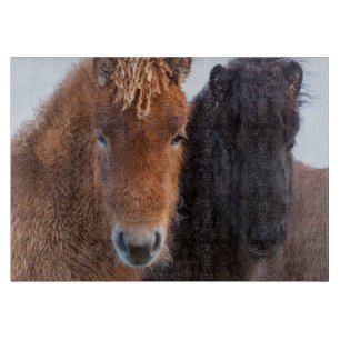 Isländisches Pferd im Winter auf Island Schneidebrett