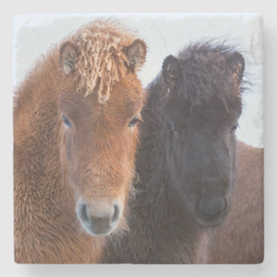 Isländisches Pferd im Winter auf Island Steinuntersetzer