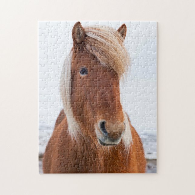 Isländisches Pferd im Winter Puzzle (Vertikal)