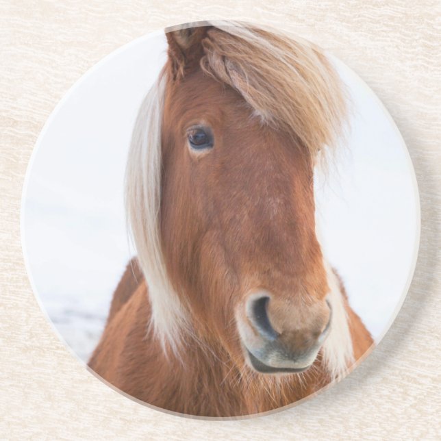 Isländisches Pferd im Winter Untersetzer (Vorne)