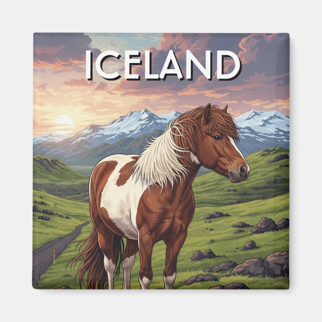 Isländisches Pferd in Island Magnet (Vorne)