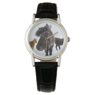 Isländisches Pferd-Potrait, Island Armbanduhr